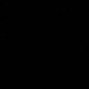 Meet your Posher, Stela